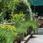 Rozelyn Apartman
